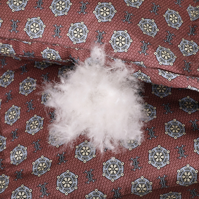 91家纺网 家纺一手货源 找家纺 呆头鹅羽绒工厂店 2025新款100支全棉印花羽绒被 白鹅绒鸭绒被子被芯羽绒工厂店 尼克西红