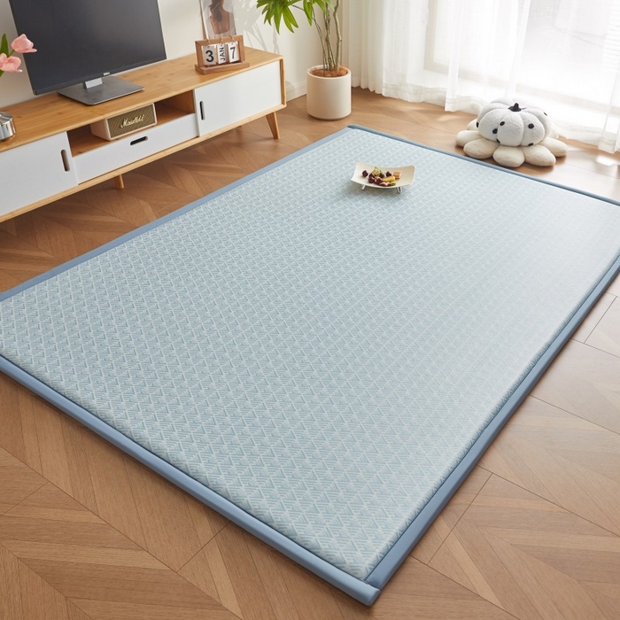 91家纺网 家纺一手货源 找家纺 薇梦蚊帐 2025新款凉感丝印花地垫 青春岁月