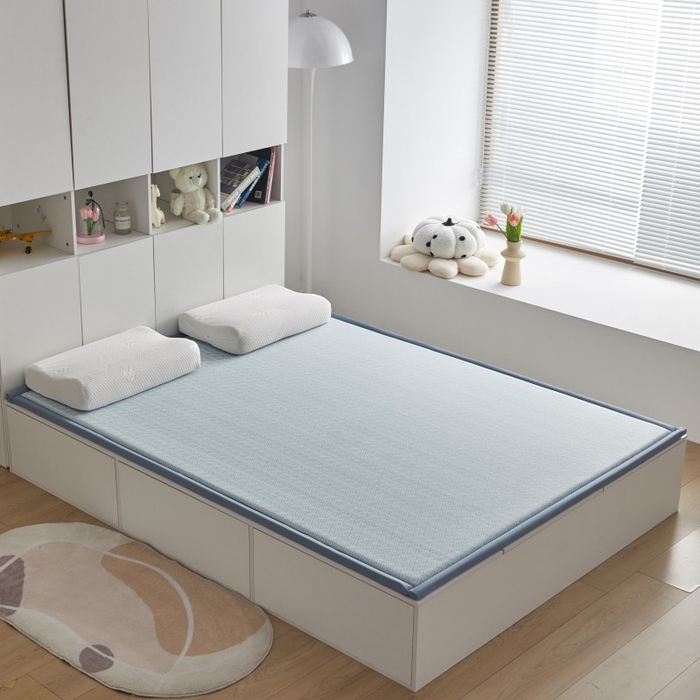 91家纺网 家纺一手货源 找家纺 薇梦蚊帐 2025新款凉感丝印花地垫 青春岁月