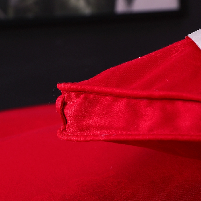 91家纺网 家纺一手货源 找家纺 呆头鹅羽绒工厂店 2025新款80支全棉大提花羽绒被 白鹅绒鸭绒被子被芯羽绒工厂店 红色