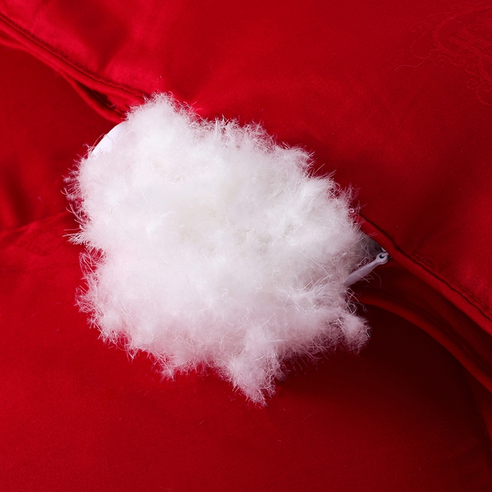 91家纺网 家纺一手货源 找家纺 呆头鹅羽绒工厂店 2025新款80支全棉大提花羽绒被 白鹅绒鸭绒被子被芯羽绒工厂店 红色