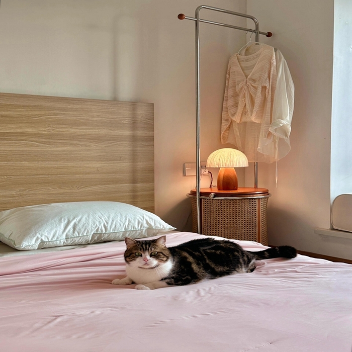 91家纺网 家纺一手货源 找家纺 芯氧 2025新款亚朵同款星球夏季凉感深睡por2.0夏被 橘雾粉