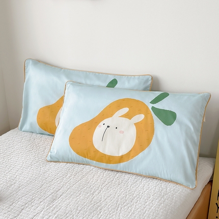 荷马之梦 2025新款A类100支全棉贡缎双股加厚加柔儿童枕套-水果系列 小芒果