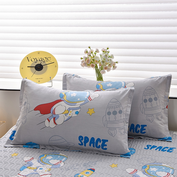 91家纺网 家纺一手货源 找家纺 床笠人家 2025新款全棉夹棉防水床垫 遨游太空