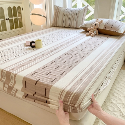 灰鲸 2025新款A类全棉色织提花床单床笠 速写-咖