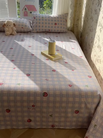 91家纺网 家纺一手货源 找家纺 （总）韩巢家纺 2025新款云感提花双层纱床单被单枕套三件套