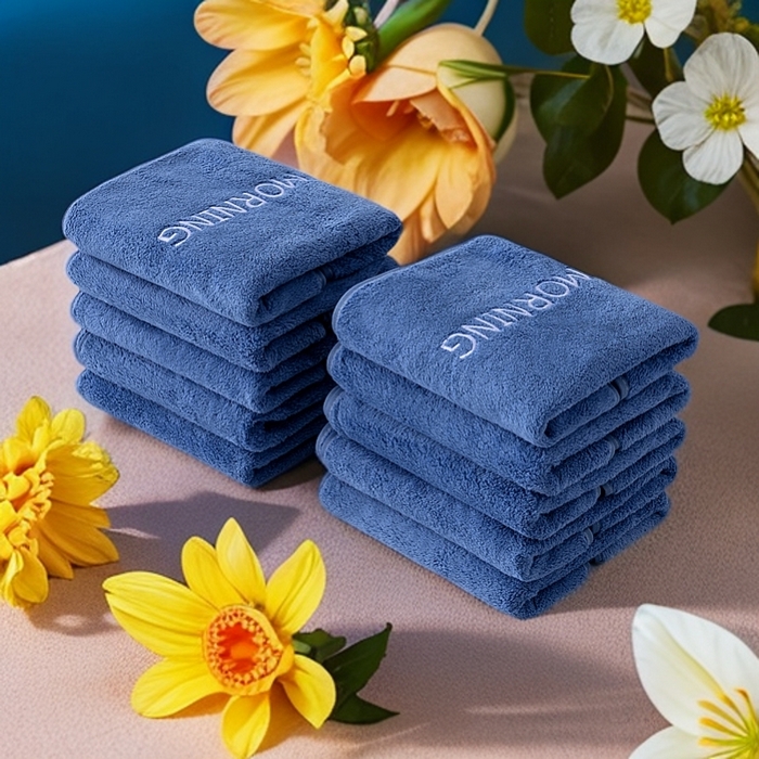 彩虹毛巾 2025新款电商赠品早安珊瑚绒毛巾浴巾两件套方巾毛巾浴巾套装加厚吸水浴巾直播福利 早安蓝色毛巾10条装【俯拍】 组合套装