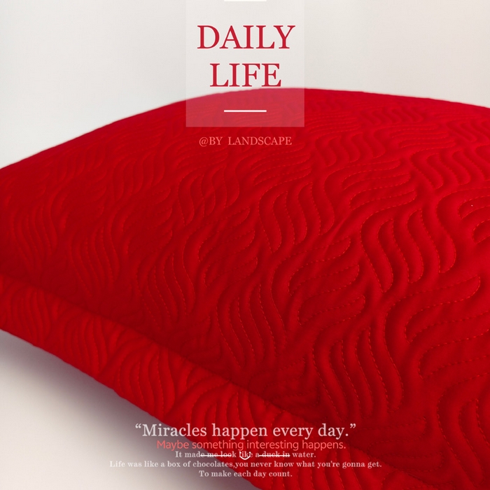 91家纺网 家纺一手货源 找家纺 （总）澜屿 新款婚庆大红全棉100支绗绣大靠枕抱枕靠背枕芯