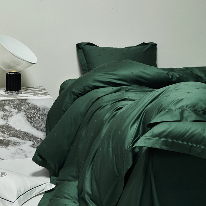 91家纺网 家纺一手货源 找家纺 群鹿蚕丝羽绒馆 2025新款100%全棉高支高密100S花边埋绳四件套-爱丽斯系列 爱丽丝-格伦012