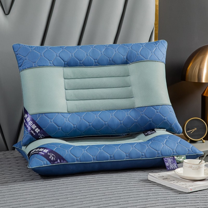 雅晨枕芯 2025新款全棉网面乳胶决明子透气护颈椎助睡眠天然乳胶枕头枕芯 乳胶决明子枕芯-蓝色 48x74cm/只