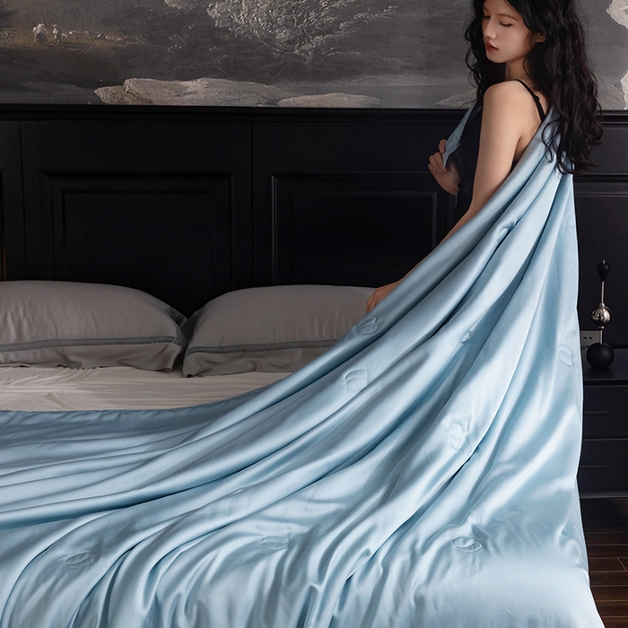 91家纺网 家纺一手货源 找家纺 被靠被 2025新款可水洗蚕丝夏被-莱德 莱德-冰蓝