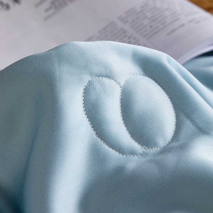 91家纺网 家纺一手货源 找家纺 被靠被 2025新款可水洗蚕丝夏被-莱德 莱德-冰蓝