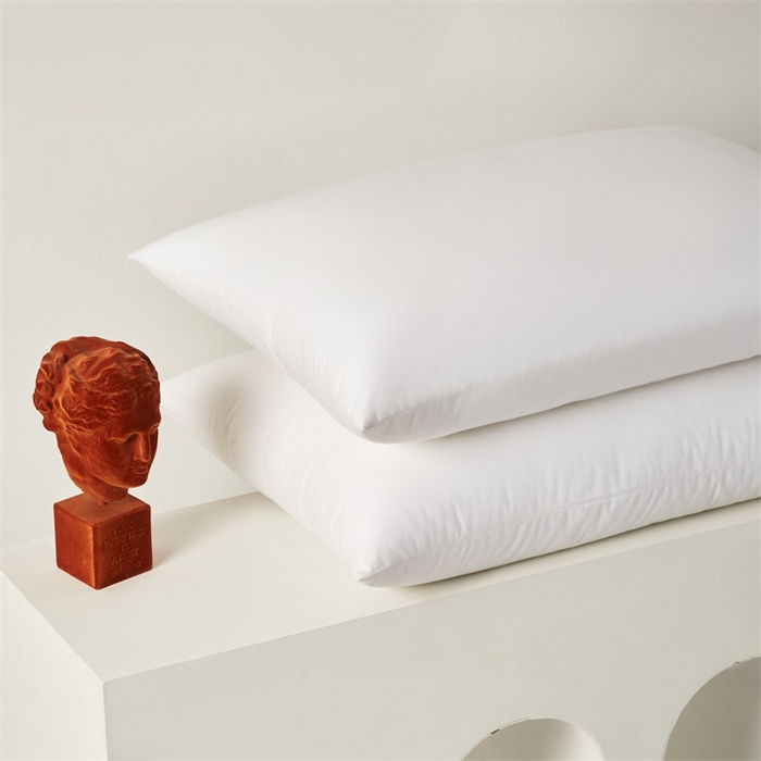 91家纺网 家纺一手货源 找家纺 怡薇格枕芯 2025新款全棉五星级酒店枕头枕芯 单边中枕