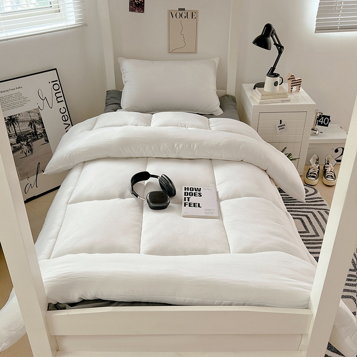 VIP被业 2025学生款夏被四件套单品凉席配套直播冬被床垫包 白色