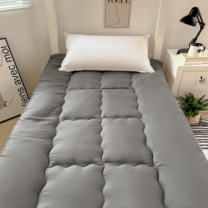 VIP被业 2025学生款夏被四件套单品凉席配套直播冬被床垫包 床垫枕芯