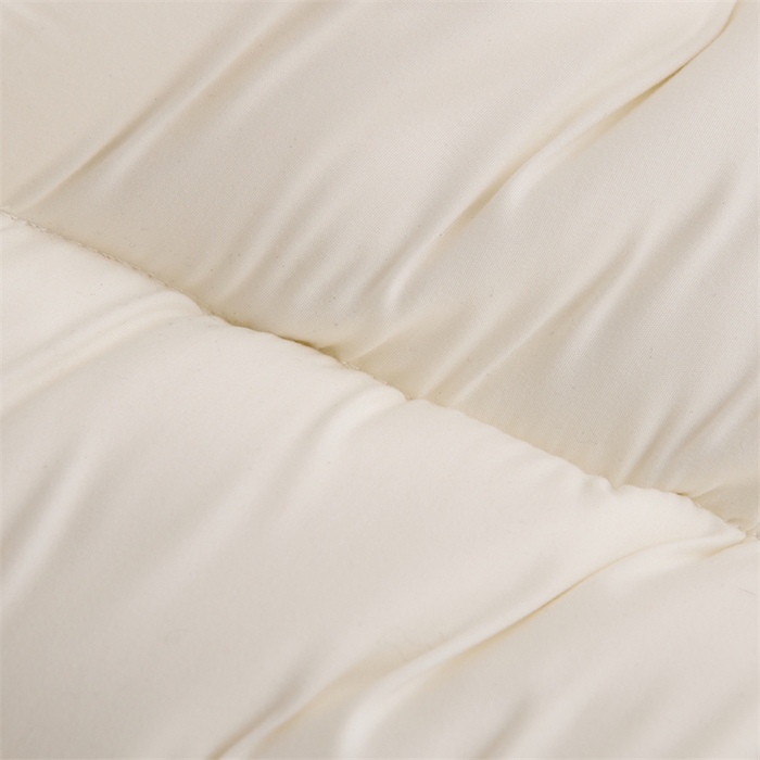 91家纺网 家纺一手货源 找家纺 佳尚枕芯2025春夏新款小馋猫亲子超柔分区护颈枕枕头枕芯 小馋猫亲子护颈枕-蓝色学生款40*60cm/只