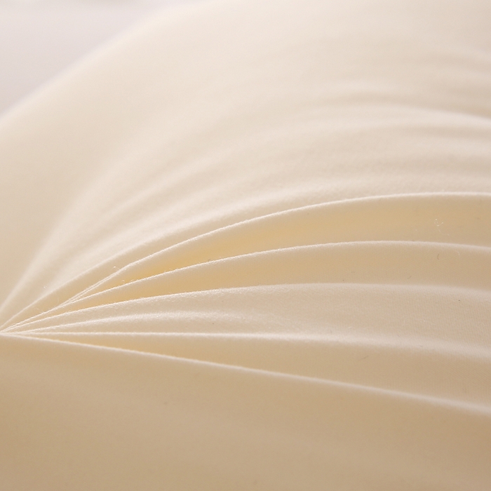 91家纺网 家纺一手货源 找家纺 佳尚枕芯2025新款枸杞原萃跑量枕芯学生枕头酒店枕单人双人枕芯枕头 枸杞原萃 米黄48x74cm/只