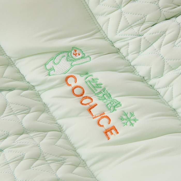 91家纺网 家纺一手货源 找家纺 佳尚枕芯 2025新款夏季超柔凉感冰丝乳胶枕头家用成人护颈椎助睡眠枕芯枕头 定型款-浅绿 48x74cm/只 低枕