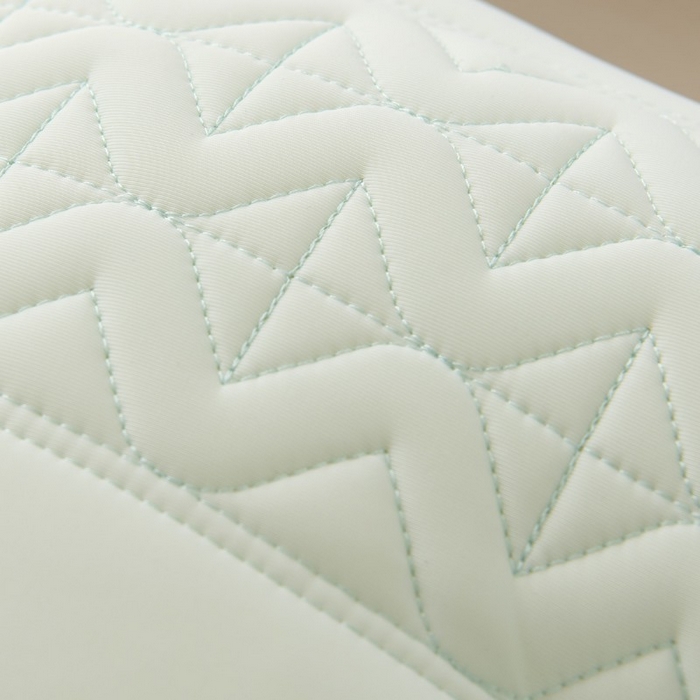 91家纺网 家纺一手货源 找家纺 佳尚枕芯 2025新款夏季超柔凉感冰丝乳胶枕头家用成人护颈椎助睡眠枕芯枕头 定型款-浅绿 48x74cm/只 中枕