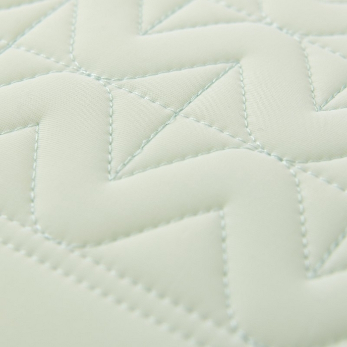 91家纺网 家纺一手货源 找家纺 佳尚枕芯 2025新款夏季超柔凉感冰丝乳胶枕芯枕头 绿色 48x74cm/只 低枕