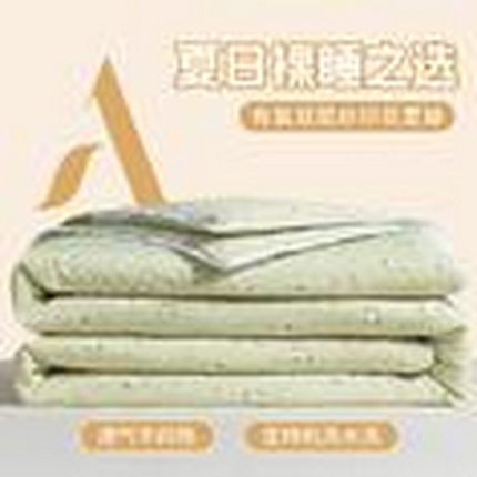 91家纺网 家纺一手货源 找家纺 （总）创优家纺 2025新款双层皱皱纱水洗棉夏被夏凉被空调被可机洗空调被子被芯棉被