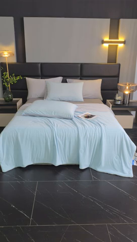 91家纺网 家纺一手货源 找家纺 （总）中国龙家纺 2025新款凉感丝夏凉被