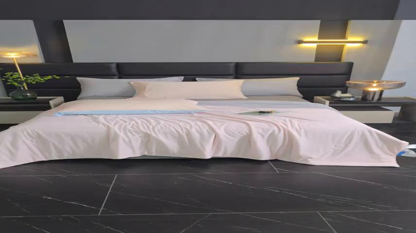 91家纺网 家纺一手货源 找家纺 （总）中国龙家纺 2025新款凉感丝夏凉被