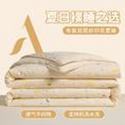 91家纺网 家纺一手货源 找家纺 2025新款双层皱皱纱水洗棉夏被夏凉被空调被可机洗空调被子被芯棉被 小芝士