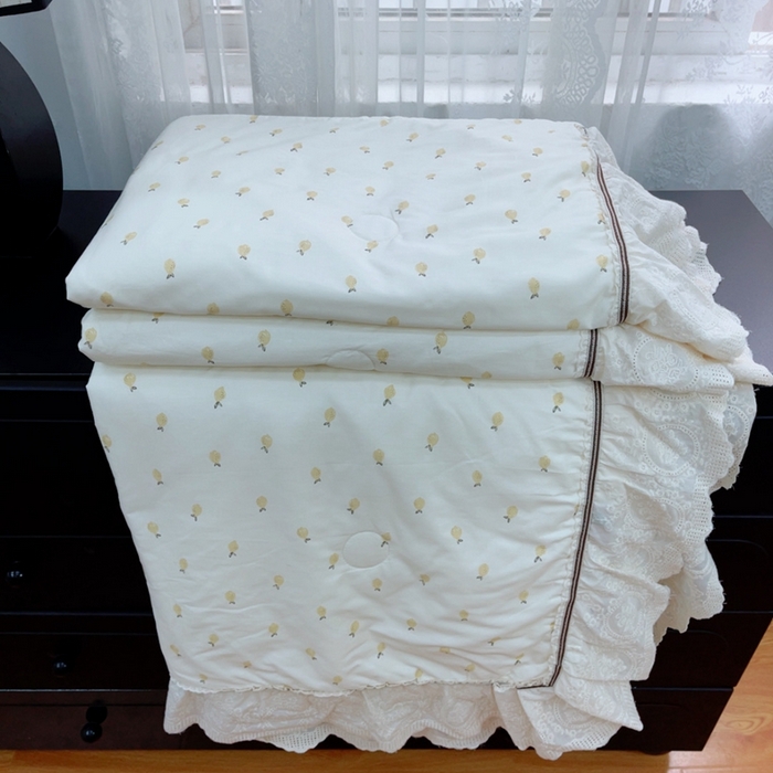 暖居2025新款欧式浪漫多功能夏被 菠萝蜜