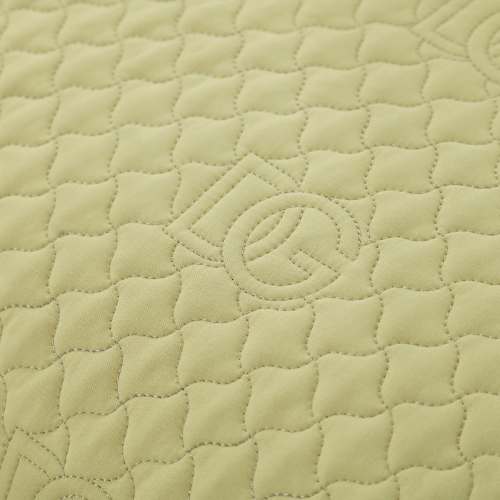 91家纺网 家纺一手货源 找家纺 OL家纺2025新款轻奢风氧乐棉床盖夹棉防滑四件套 华尔兹-浅绿