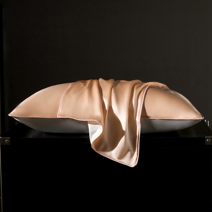 91家纺网 家纺一手货源 找家纺 凯森家纺 重磅纯真丝枕套100%桑蚕丝枕头套纯色枕芯套丝滑缎面单人枕皮夏季天丝美 容顺发枕巾 香槟玉