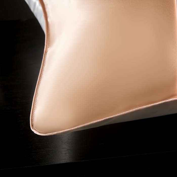 91家纺网 家纺一手货源 找家纺 凯森家纺 重磅纯真丝枕套100%桑蚕丝枕头套纯色枕芯套丝滑缎面单人枕皮夏季天丝美 容顺发枕巾 香槟玉