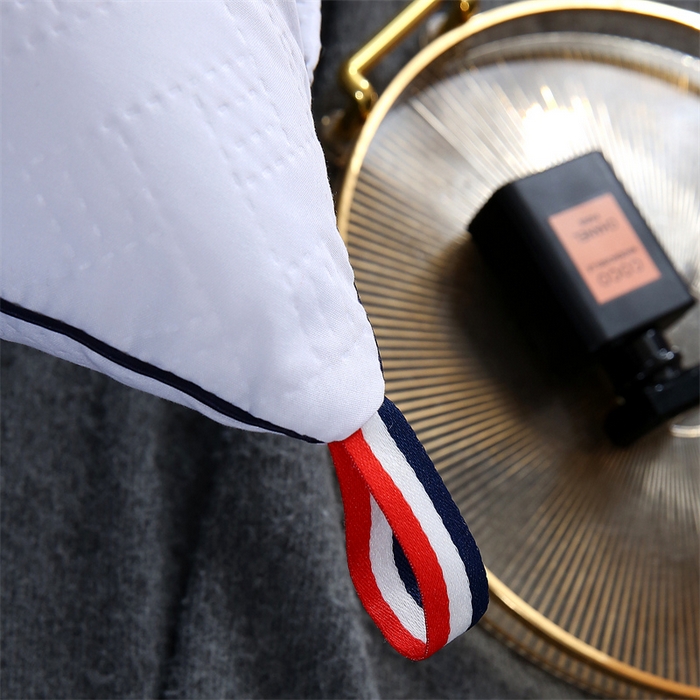 91家纺网 家纺一手货源 找家纺 佳尚枕芯 2025新款水洗枕芯家用枕头酒店宾馆枕头芯学生羽丝绒枕头枕芯 压花吊带白色 500克