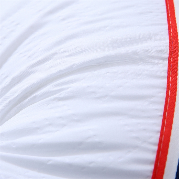 91家纺网 家纺一手货源 找家纺 佳尚枕芯 2025新款水洗枕芯家用枕头酒店宾馆枕头芯学生羽丝绒枕头枕芯 压花吊带白色 600克