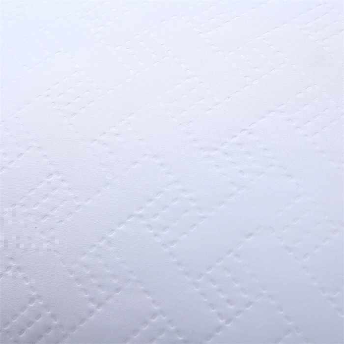 91家纺网 家纺一手货源 找家纺 佳尚枕芯 2025新款水洗枕芯家用枕头酒店宾馆枕头芯学生羽丝绒枕头枕芯 压花吊带白色 600克