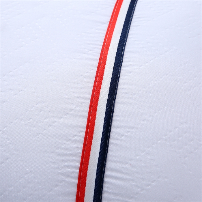 91家纺网 家纺一手货源 找家纺 佳尚枕芯 2025新款水洗枕芯家用枕头酒店宾馆枕头芯学生羽丝绒枕头枕芯 压花吊带白色  800克