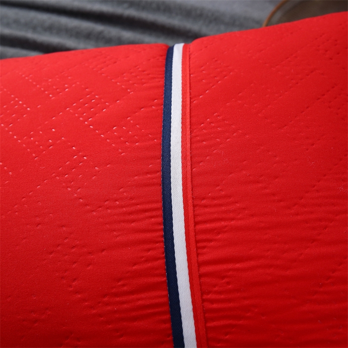 91家纺网 家纺一手货源 找家纺 佳尚枕芯 2025新款水洗枕芯家用枕头酒店宾馆枕头芯学生羽丝绒枕头枕芯 压花吊带大红 800克