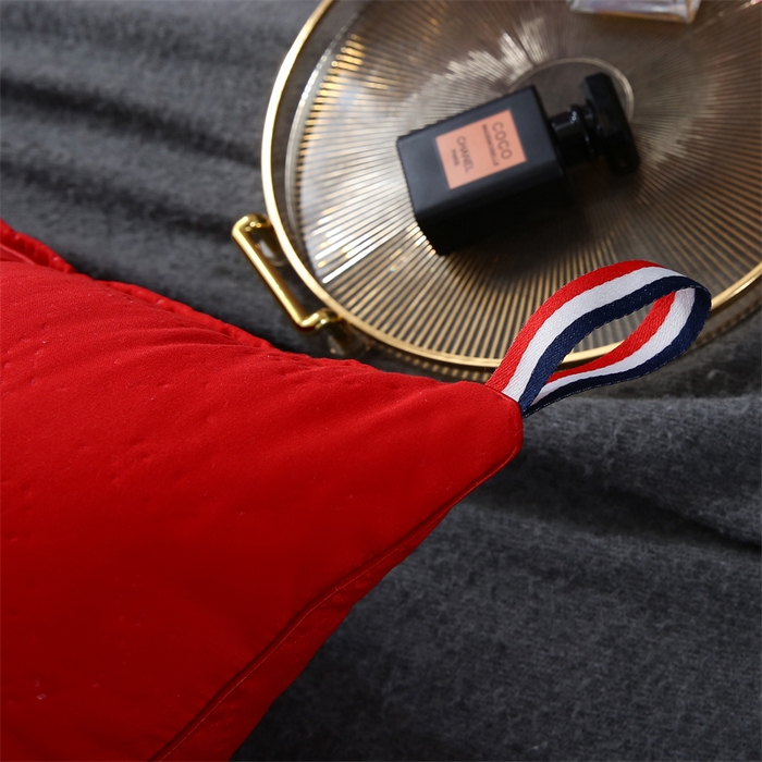 91家纺网 家纺一手货源 找家纺 佳尚枕芯 2025新款水洗枕芯家用枕头酒店宾馆枕头芯学生羽丝绒枕头枕芯 压花吊带大红700克 