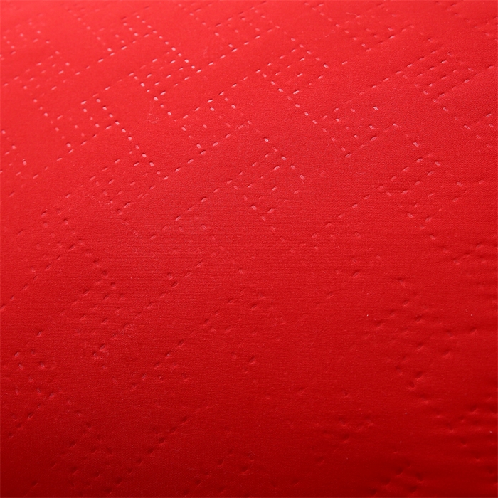 91家纺网 家纺一手货源 找家纺 佳尚枕芯 2025新款水洗枕芯家用枕头酒店宾馆枕头芯学生羽丝绒枕头枕芯 压花吊带大红500克