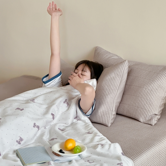 汇庭2025新款奇趣夏被 曲奇狗