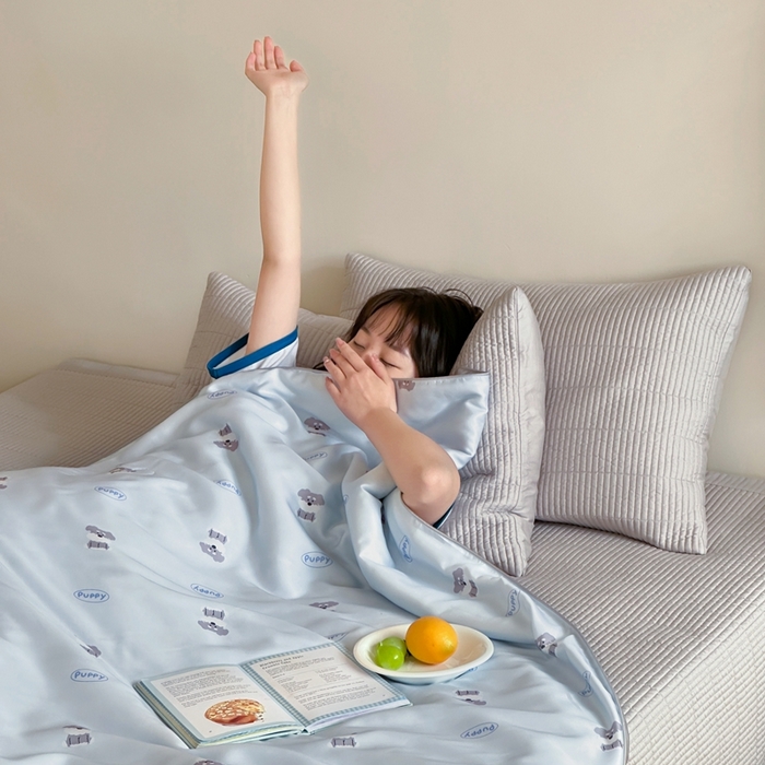 汇庭2025新款奇趣夏被 瑞拉