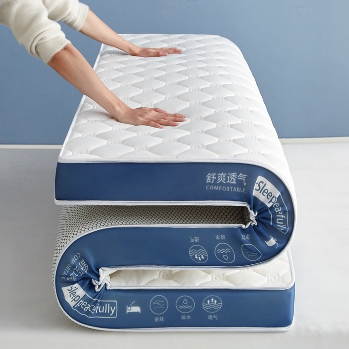 合纵跨境工厂 2025新款17/25D记忆海绵床垫跨境外贸JIT一件代发TEMU亚马逊希音包过核价立体水波纹 立体回字格深蓝边白