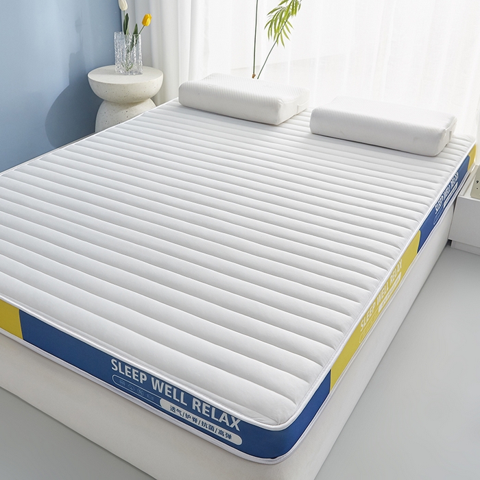 91家纺网 家纺一手货源 找家纺 合纵跨境工厂 2025新款记忆海绵床垫跨境外贸JIT一件代发TEMU亚马逊希音包过核价立体横条 立体横条-白 5cm