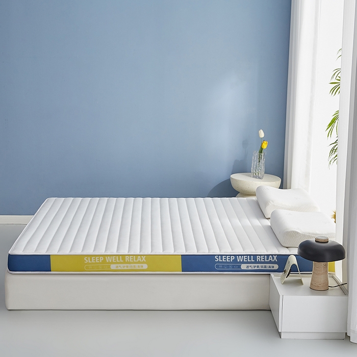 91家纺网 家纺一手货源 找家纺 合纵跨境工厂 2025新款记忆海绵床垫跨境外贸JIT一件代发TEMU亚马逊希音包过核价立体横条 立体横条-白 9cm