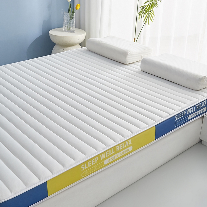 91家纺网 家纺一手货源 找家纺 合纵跨境工厂 2025新款记忆海绵床垫跨境外贸JIT一件代发TEMU亚马逊希音包过核价立体横条 立体横条-白 9cm