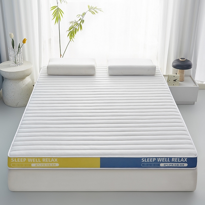 91家纺网 家纺一手货源 找家纺 合纵跨境工厂 2025新款记忆海绵床垫跨境外贸JIT一件代发TEMU亚马逊希音包过核价立体横条 立体横条-白 9cm