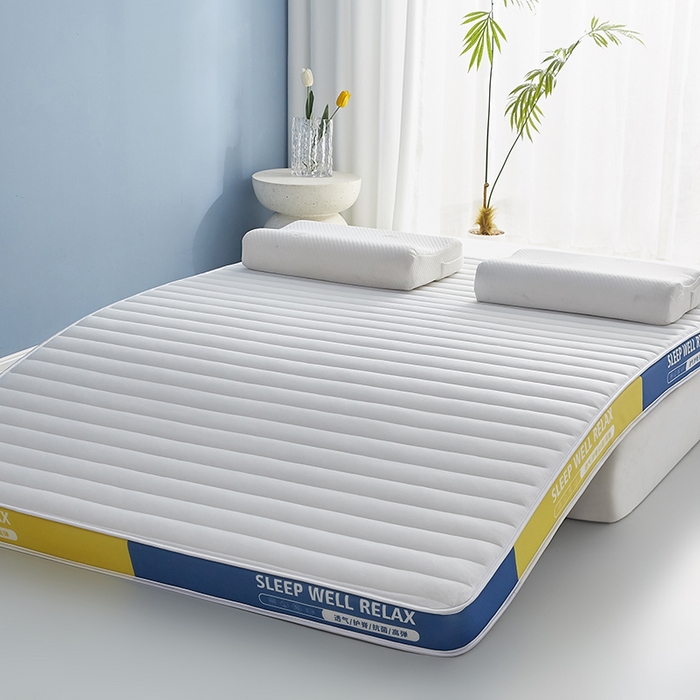 91家纺网 家纺一手货源 找家纺 合纵跨境工厂 2025新款记忆海绵床垫跨境外贸JIT一件代发TEMU亚马逊希音包过核价立体横条 立体横条-白 9cm