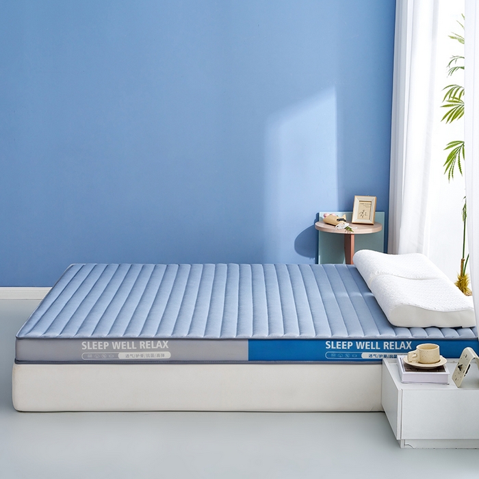 91家纺网 家纺一手货源 找家纺 合纵跨境工厂 2025新款记忆海绵床垫跨境外贸JIT一件代发TEMU亚马逊希音包过核价立体横条 立体横条-灰 9cm