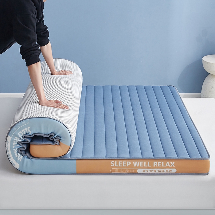 合纵跨境工厂 2025新款记忆海绵床垫跨境外贸JIT一件代发TEMU亚马逊希音包过核价立体横条 立体横条-蓝 9cm