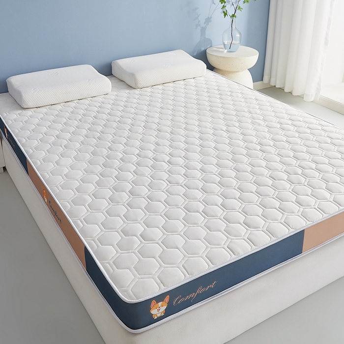 91家纺网 家纺一手货源 找家纺 合纵跨境工厂 2025新款17/25D记忆海绵床垫跨境外贸JIT一件代发TEMU亚马逊希音包过核价立体水波纹核价立体球形 立体球形-白 5cm